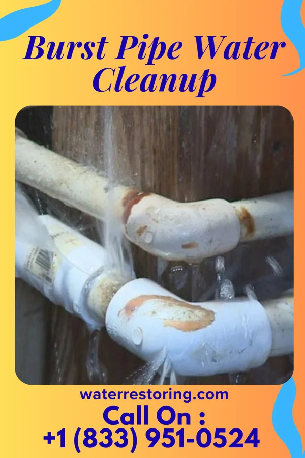 Burst Pipe Water Cleanup in Bluefield, VA
