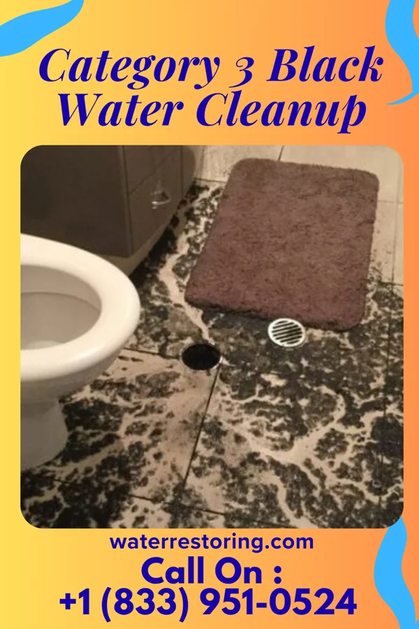 Category 3 Black Water Cleanup in Bluefield, VA