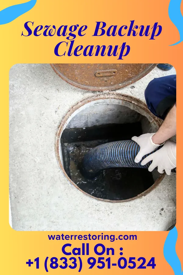 Sewage Backup Cleanup in Bluefield, VA