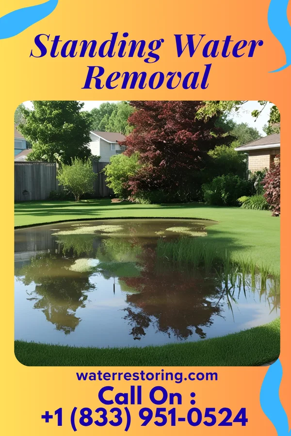 Standing Water Removal in Bluefield, VA